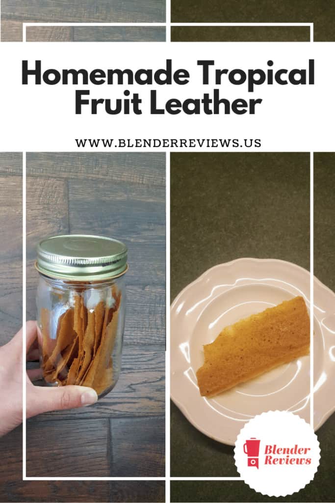 Homemade-Tropical-Fruit-Leather